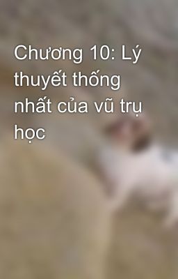 Chương 10: Lý thuyết thống nhất của vũ trụ học