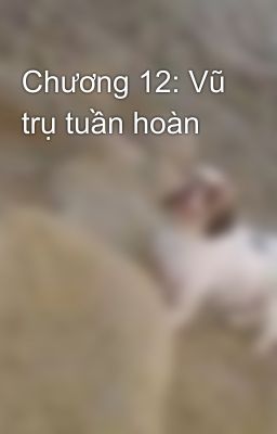 Chương 12: Vũ trụ tuần hoàn