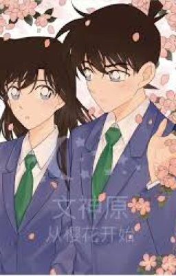 [Chuyển ver/Shinran ] Bảo bối là sát thủ