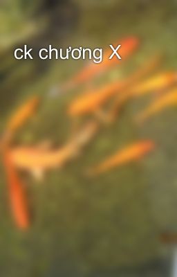 ck chương X