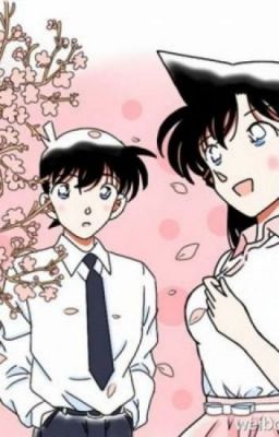 club Fan Shinran