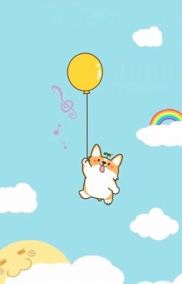 Có chú Corgi nhỏ từ trên trời rơi xuống