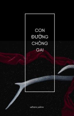 CON ĐƯỜNG CHÔNG GAI