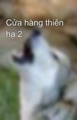 Cửa hàng thiên hạ 2