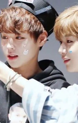 Cục Bông Park JiHoon và Bạn Cún Kang Daniel