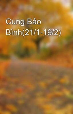 Cung Bảo Bình(21/1-19/2)