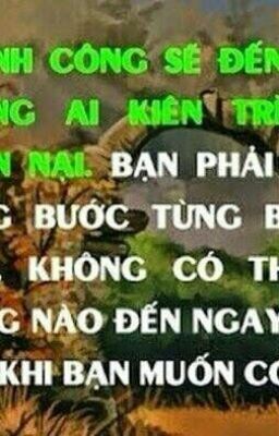 Cuộc đời tôi