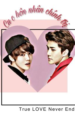 Cuộc hôn nhân chính trị [Hunhan,Chanbaek,Kaisoo] [SE] [Hoàn]