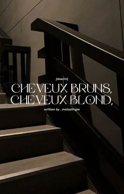 [daerin] cheveux bruns, cheveux blond