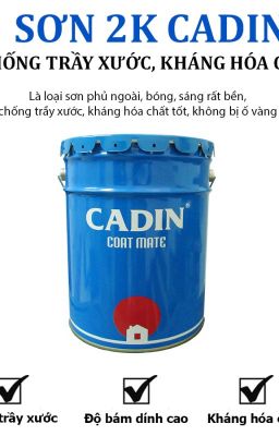 ĐẠI LÝ SƠN PHỦ BÓNG 2K CADIN TRONG SUỐT