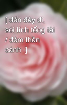 [ đến đây đi, sói tính tổng tài / đêm thần cánh  ]