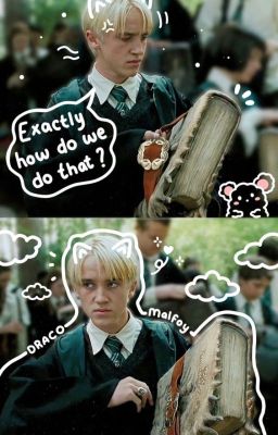 Định lý của tình yêu tôi dành cho cậu, Malfoy. [HarDra]