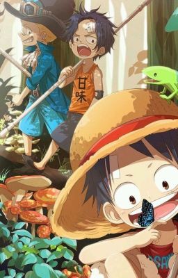 [ĐN One Piece} _ Bảo vệ