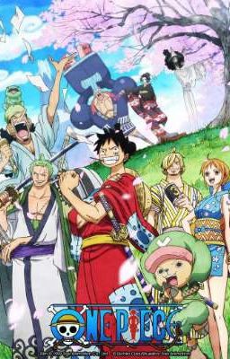 [ĐN One Piece] đồng đội của vua hải tặc là ta