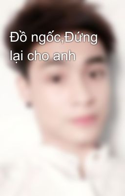 Đồ ngốc,Đứng lại cho anh