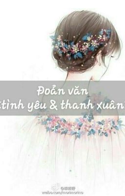 Đoản văn <Tình yêu & thanh xuân>