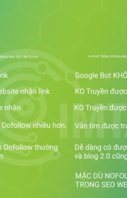 Dofollow Và Nofollow Trong SEO - Tổng Hợp Những Kiến Thức Và Cách Sử Dụng (2024)