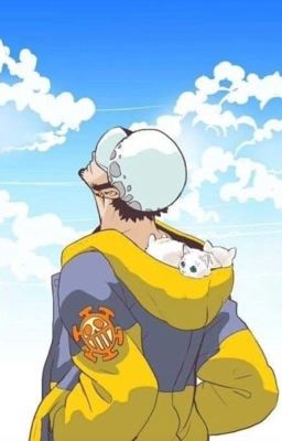 Đồng nhân One Piece: Trafalgar Law x Reader