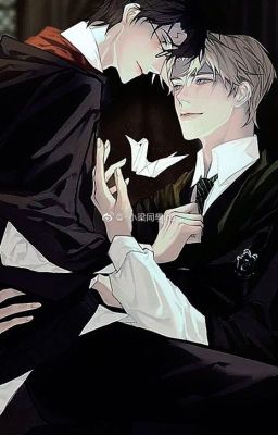 [ Drarry/Drahar] Cuồng yêu