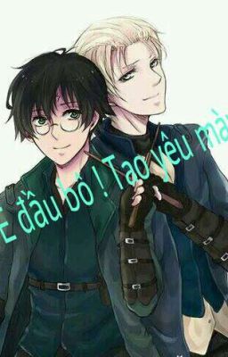 [ Drarry ] [ Drahar ] Ê đầu bô ! Tao yêu mày !