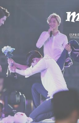 [EDIT | CHANSOO] MARRY ME