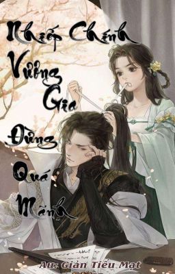 [EDIT-CỔ TRANG] NHIẾP CHÍNH VƯƠNG GIA ĐỪNG QUÁ MÃNH (DROP) 