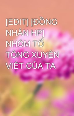 [EDIT] [ĐỒNG NHÂN HP] NHÓM TỔ TÔNG XUYÊN VIỆT CỦA TA