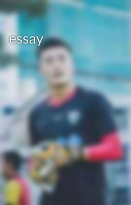 essay