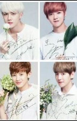 [FANFIC] [EXO] [CHANBAEK HUNHAN] Tình yêu là vậy đó