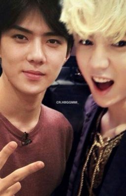 [Fanfic] [HunHan] [ChanBaek] [KaiSoo] Tiểu bảo bối , anh yêu em