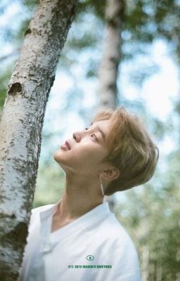 [Fanfic Jimin] The Truth Untold