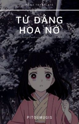 [Fanfic KnY] Tử đằng hoa nở