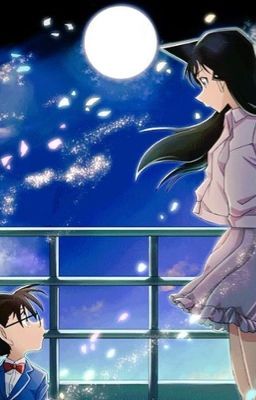 [FANFIC SHINRAN] -ĐỪNG BỎ TỚ LẠI MỘT MÌNH... SHINICHI...