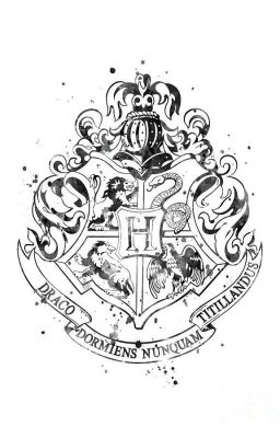 [Fanfic] TRƯỜNG TRUNG HỌC HOGWARTS