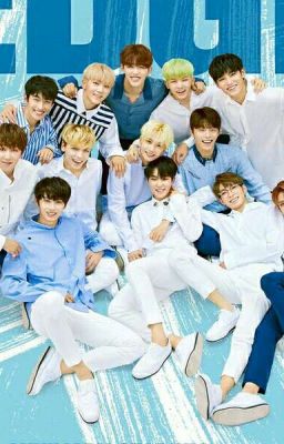 (Fanfiction girl x Seventeen) Quản Lý Của Seventeen