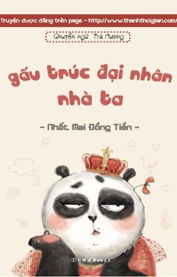 Gấu Trúc Đại Nhân Nhà Ta