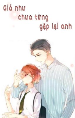 Giá như chưa từng gặp lại anh