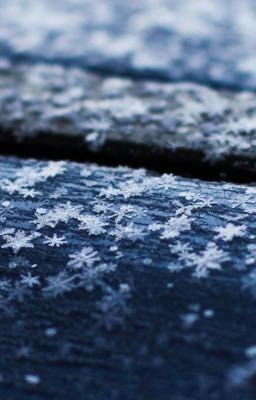 [Gofushi][Drabble] Snowflakes on the eyes |Những bông tuyết vương trên mắt người