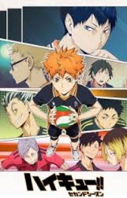 Haikyuu Characters X Readers (Vietnamese)