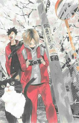 [Haikyuu] [Kuroken] don't leave