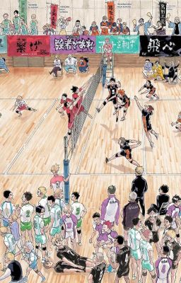 [Haikyuu x Reader] Yêu rồi