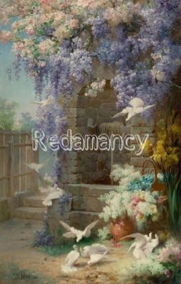 [Hảo Đa Vũ] Redamancy