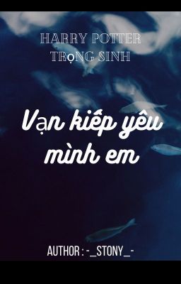 [Harry Potter trọng sinh] Vạn kiếp yêu mình em.