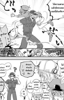 [Hataraku Saibou] ( Pictures + Doujinshi ) - Ổ cuồng dâm của tớ!!! [END]