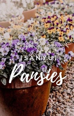 [HDY-oneshot] Pansies