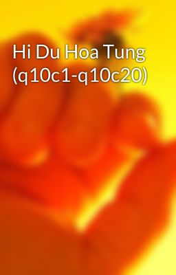 Hi Du Hoa Tung (q10c1-q10c20)