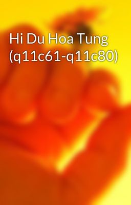 Hi Du Hoa Tung (q11c61-q11c80)