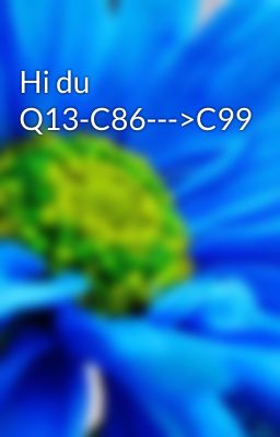 Hi du Q13-C86--->C99