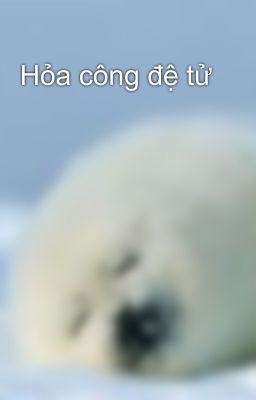 Hỏa công đệ tử