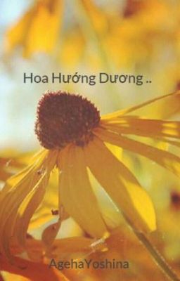 Hoa Hướng Dương ..